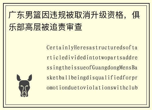 广东男篮因违规被取消升级资格，俱乐部高层被追责审查